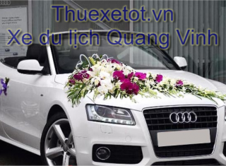 Cho thuê xe cưới Audi Mui Trần